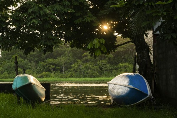 Quels sont les meilleurs spots pour observer les tortues de mer à Hawaï?